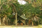 mukambi plains camp tented accommodation ensuite ii